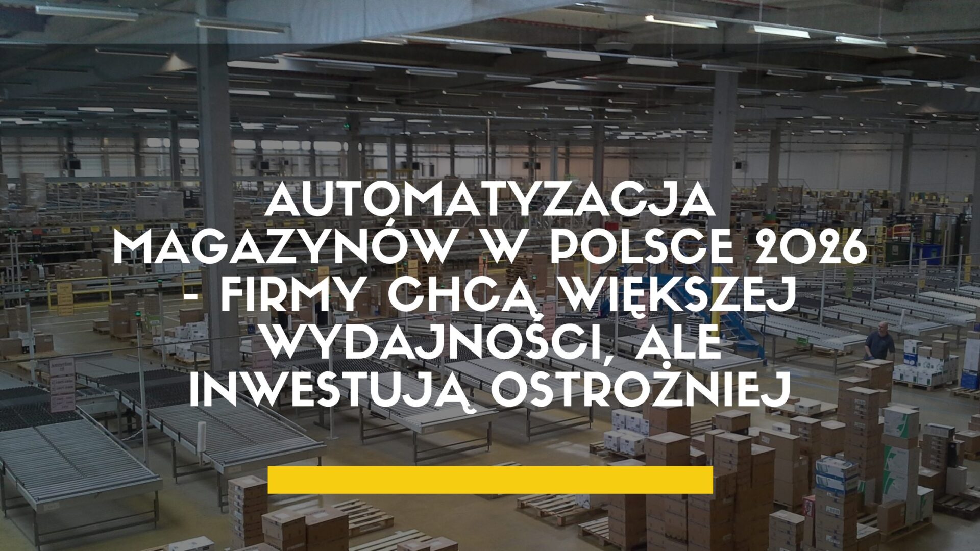 Automatyzacja magazynów